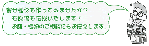 寄せ植えを作ってみませんか？石原流を伝授いたします！お庭・植物のご相談にもお応えします。